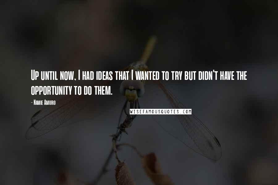 Namie Amuro Quotes: Up until now, I had ideas that I wanted to try but didn't have the opportunity to do them.