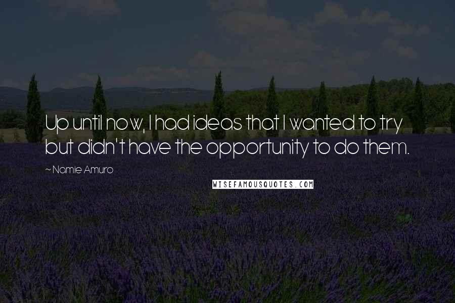 Namie Amuro Quotes: Up until now, I had ideas that I wanted to try but didn't have the opportunity to do them.