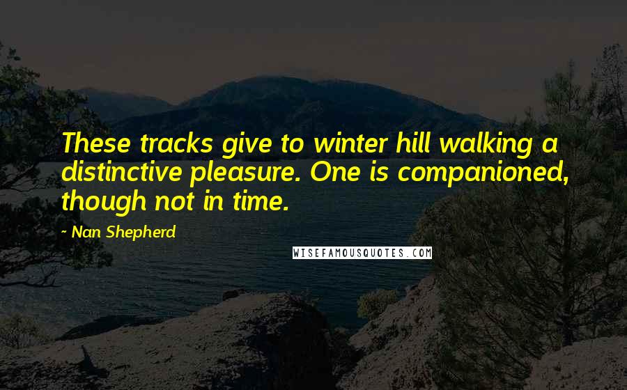 Nan Shepherd Quotes: These tracks give to winter hill walking a distinctive pleasure. One is companioned, though not in time.