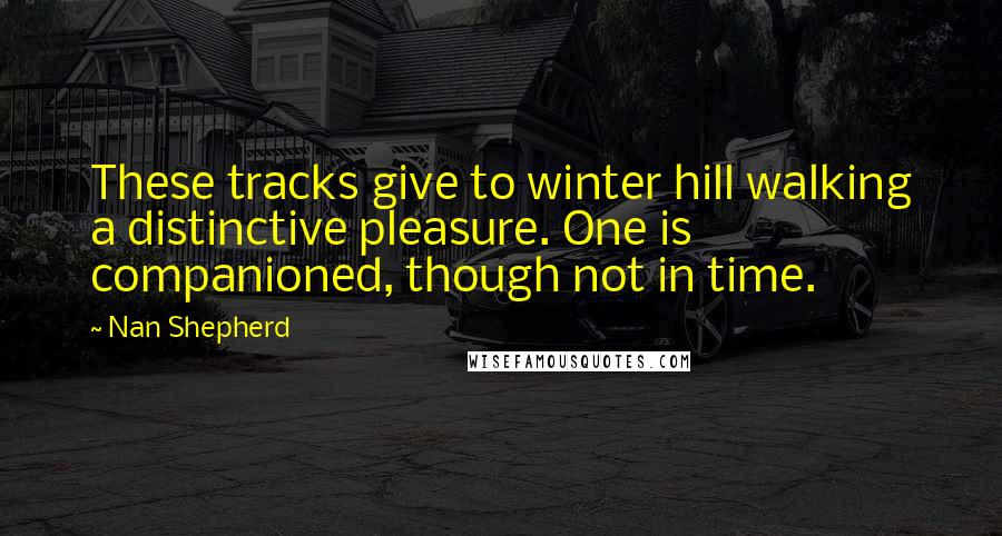 Nan Shepherd Quotes: These tracks give to winter hill walking a distinctive pleasure. One is companioned, though not in time.