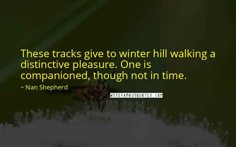 Nan Shepherd Quotes: These tracks give to winter hill walking a distinctive pleasure. One is companioned, though not in time.