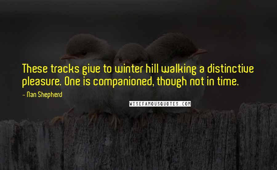 Nan Shepherd Quotes: These tracks give to winter hill walking a distinctive pleasure. One is companioned, though not in time.