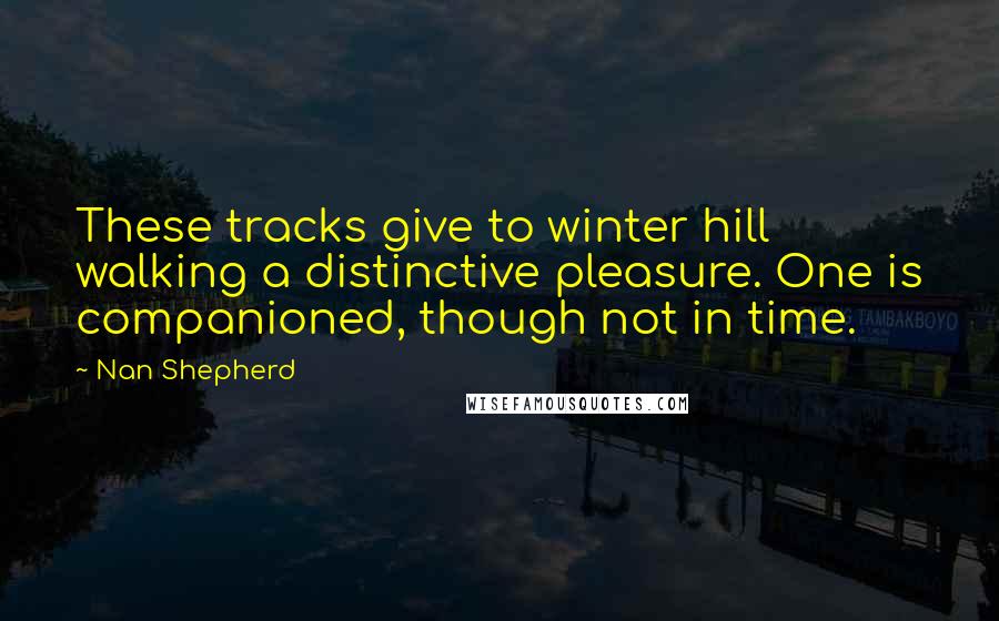 Nan Shepherd Quotes: These tracks give to winter hill walking a distinctive pleasure. One is companioned, though not in time.