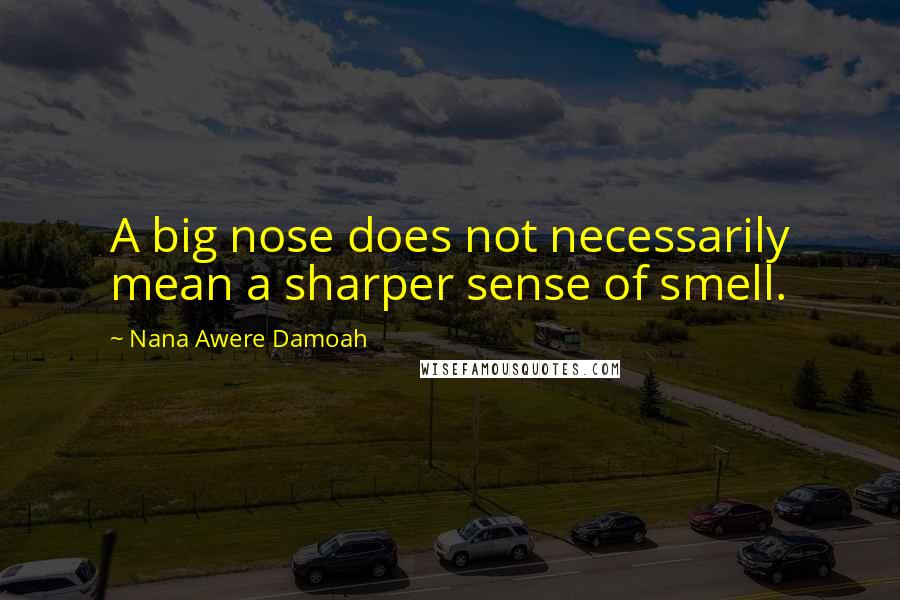 Nana Awere Damoah Quotes: A big nose does not necessarily mean a sharper sense of smell.