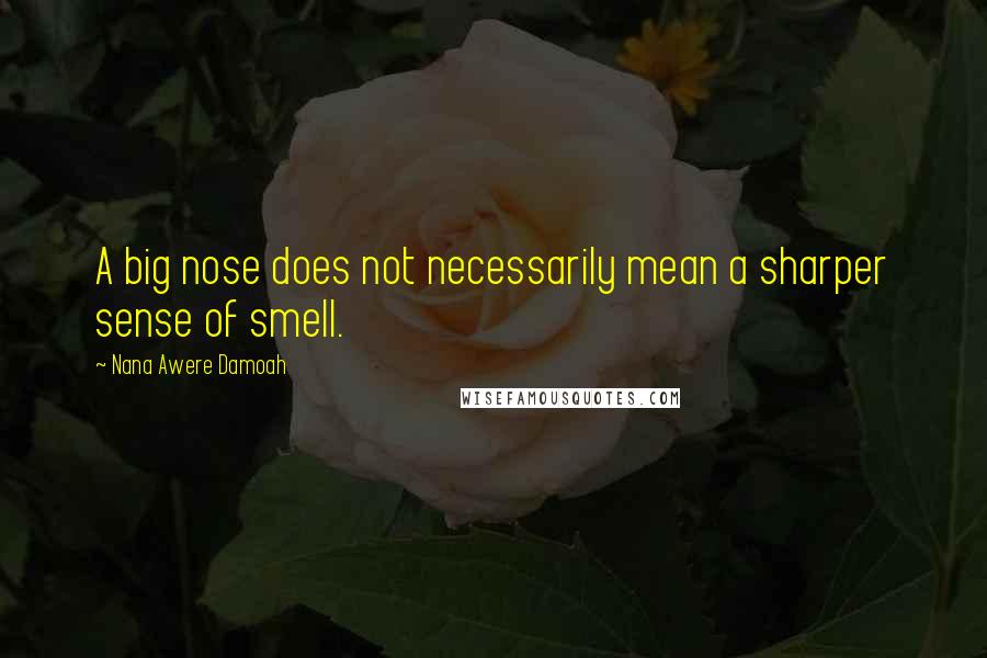 Nana Awere Damoah Quotes: A big nose does not necessarily mean a sharper sense of smell.