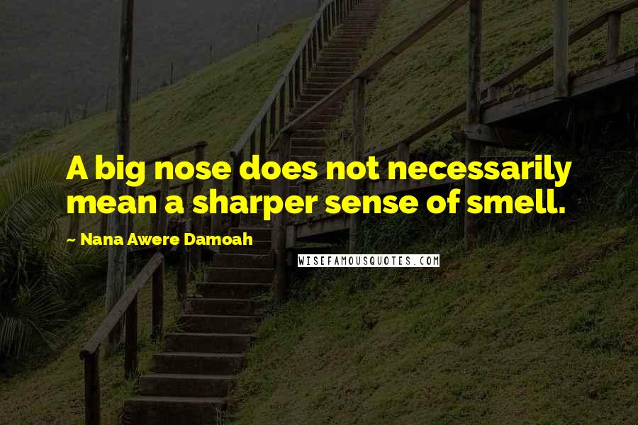 Nana Awere Damoah Quotes: A big nose does not necessarily mean a sharper sense of smell.