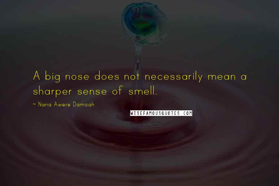 Nana Awere Damoah Quotes: A big nose does not necessarily mean a sharper sense of smell.