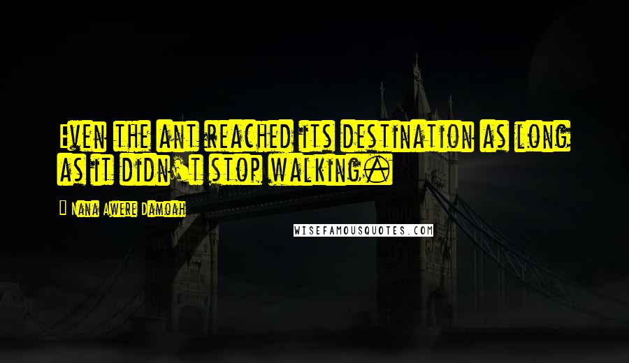 Nana Awere Damoah Quotes: Even the ant reached its destination as long as it didn't stop walking.