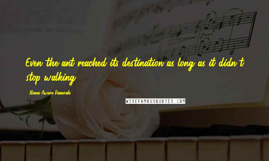 Nana Awere Damoah Quotes: Even the ant reached its destination as long as it didn't stop walking.