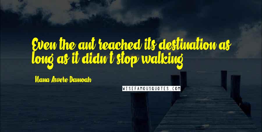 Nana Awere Damoah Quotes: Even the ant reached its destination as long as it didn't stop walking.