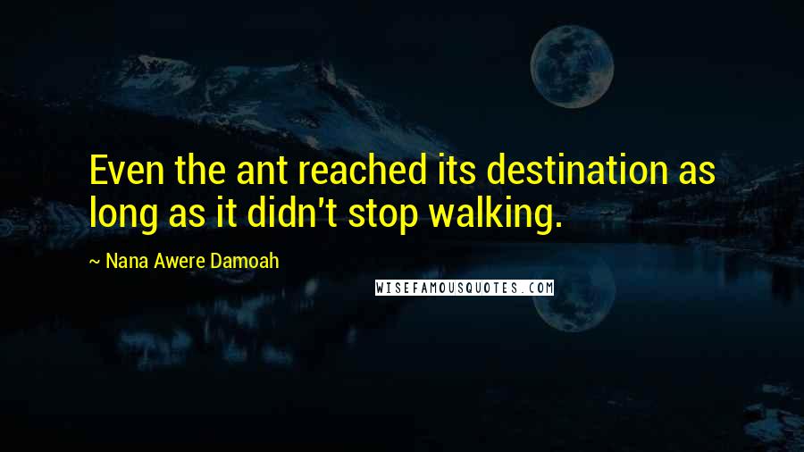 Nana Awere Damoah Quotes: Even the ant reached its destination as long as it didn't stop walking.