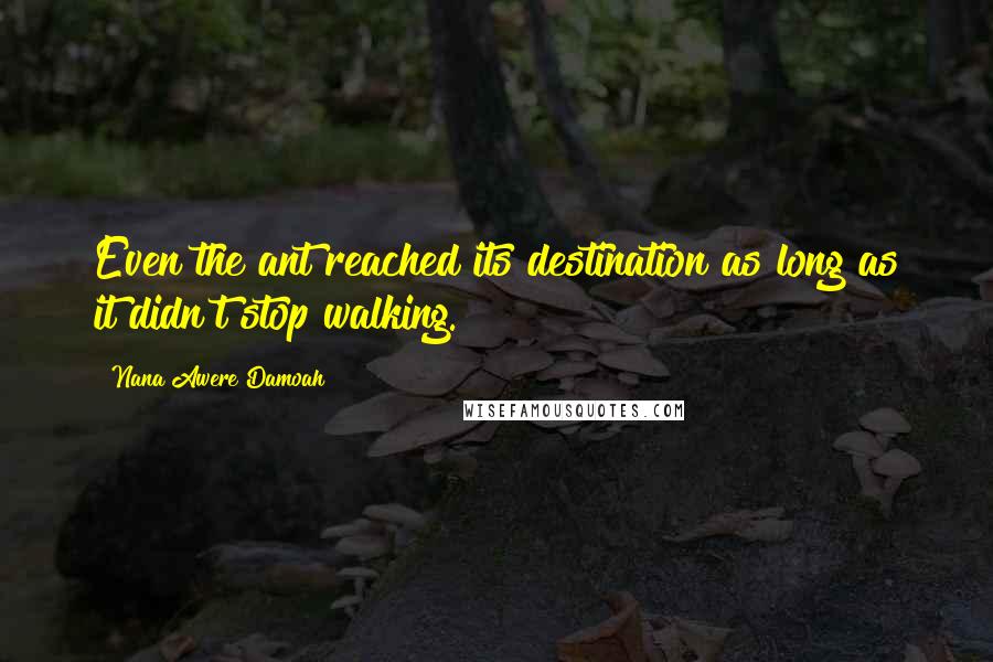 Nana Awere Damoah Quotes: Even the ant reached its destination as long as it didn't stop walking.