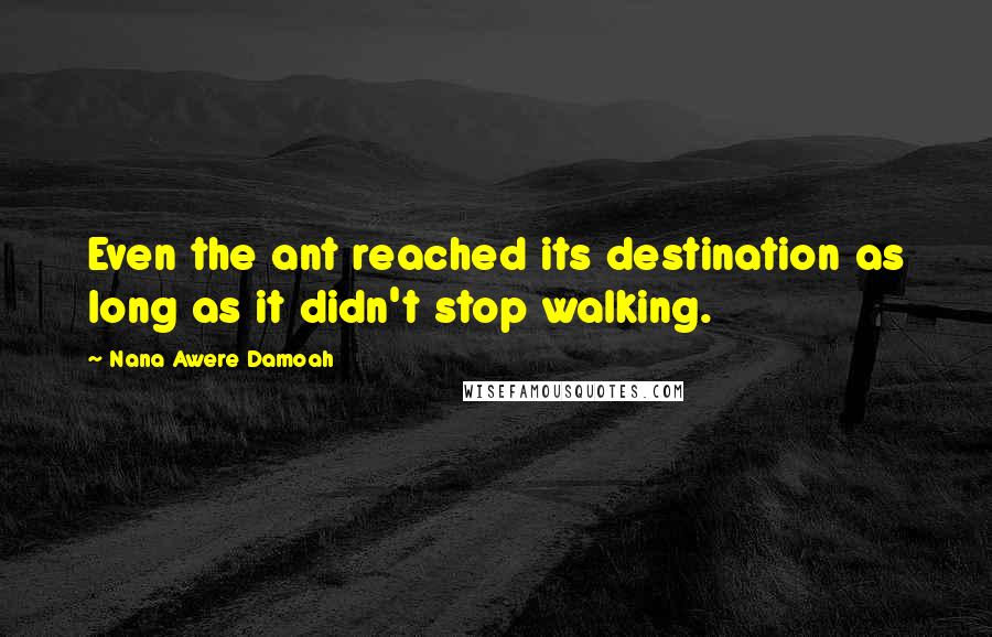 Nana Awere Damoah Quotes: Even the ant reached its destination as long as it didn't stop walking.