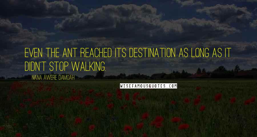 Nana Awere Damoah Quotes: Even the ant reached its destination as long as it didn't stop walking.