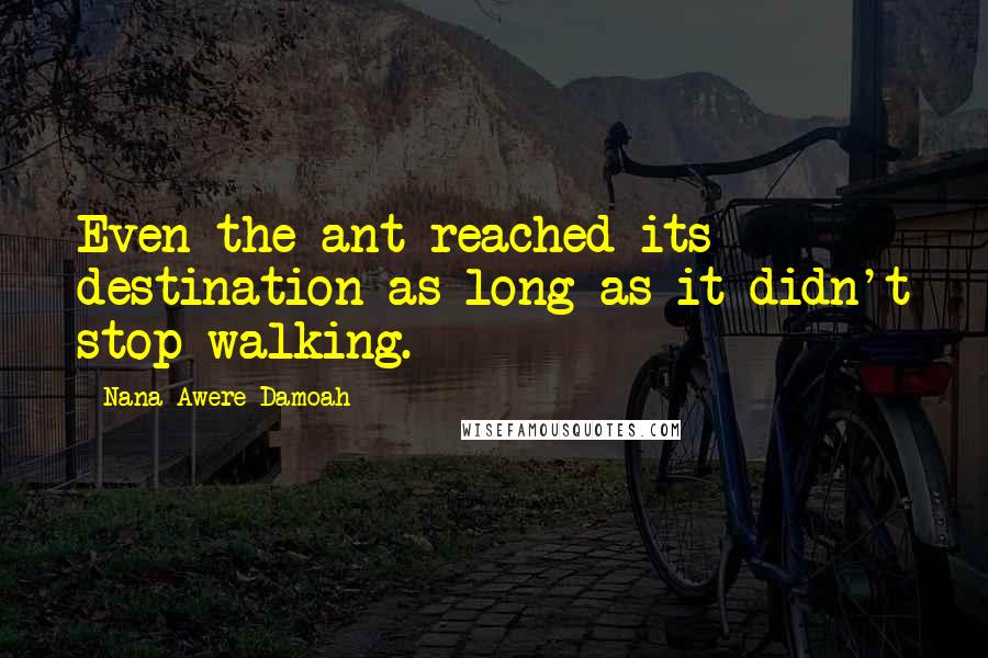 Nana Awere Damoah Quotes: Even the ant reached its destination as long as it didn't stop walking.