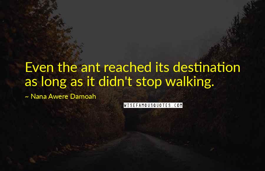 Nana Awere Damoah Quotes: Even the ant reached its destination as long as it didn't stop walking.