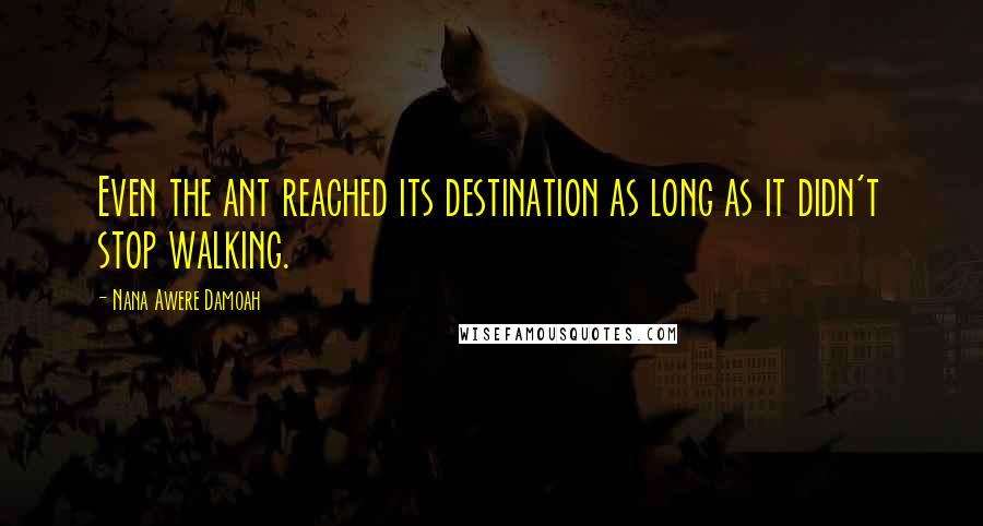 Nana Awere Damoah Quotes: Even the ant reached its destination as long as it didn't stop walking.