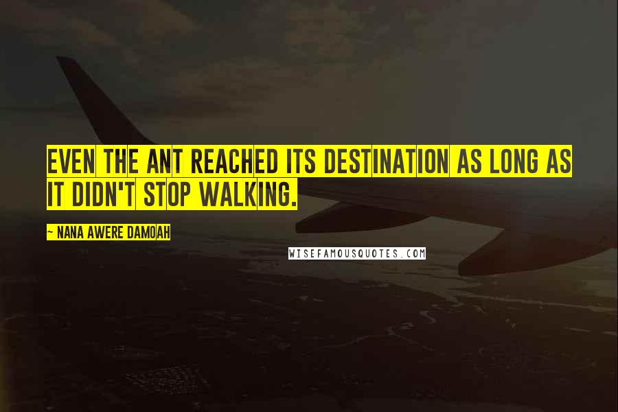 Nana Awere Damoah Quotes: Even the ant reached its destination as long as it didn't stop walking.
