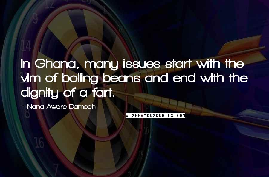 Nana Awere Damoah Quotes: In Ghana, many issues start with the vim of boiling beans and end with the dignity of a fart.