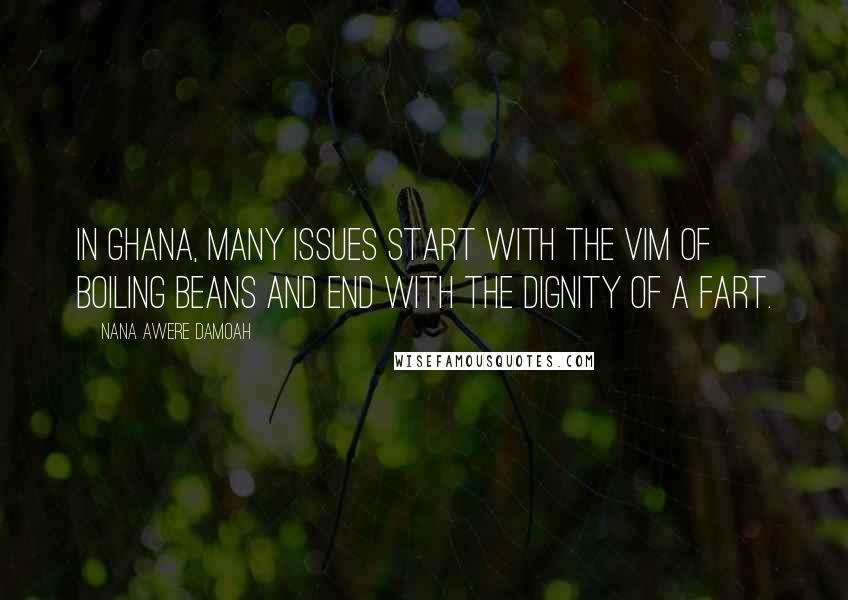 Nana Awere Damoah Quotes: In Ghana, many issues start with the vim of boiling beans and end with the dignity of a fart.