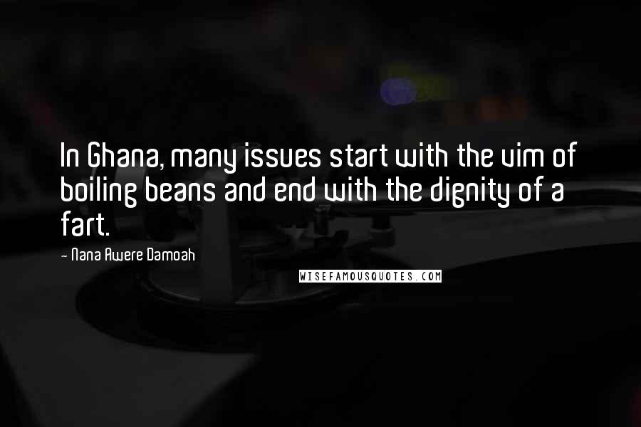 Nana Awere Damoah Quotes: In Ghana, many issues start with the vim of boiling beans and end with the dignity of a fart.