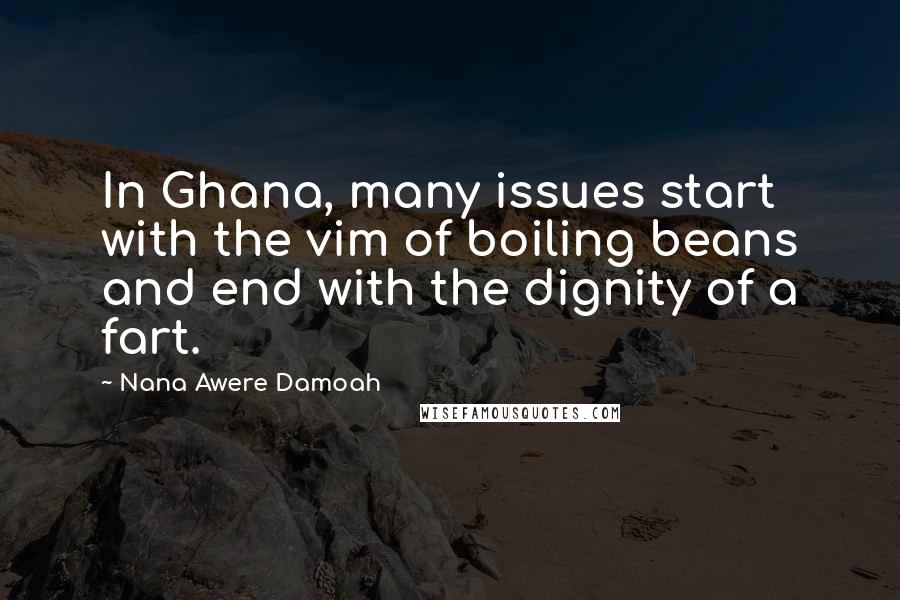 Nana Awere Damoah Quotes: In Ghana, many issues start with the vim of boiling beans and end with the dignity of a fart.