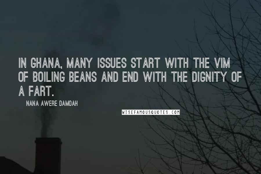 Nana Awere Damoah Quotes: In Ghana, many issues start with the vim of boiling beans and end with the dignity of a fart.