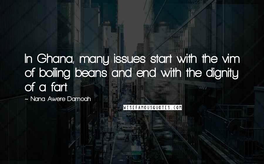 Nana Awere Damoah Quotes: In Ghana, many issues start with the vim of boiling beans and end with the dignity of a fart.