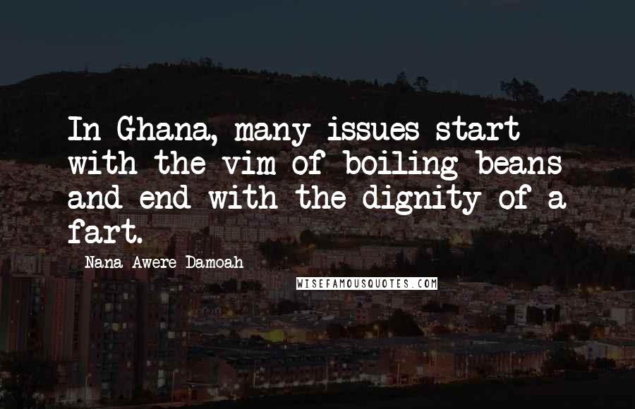 Nana Awere Damoah Quotes: In Ghana, many issues start with the vim of boiling beans and end with the dignity of a fart.