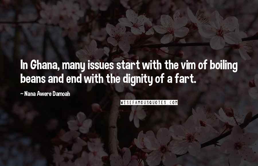 Nana Awere Damoah Quotes: In Ghana, many issues start with the vim of boiling beans and end with the dignity of a fart.