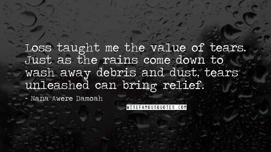 Nana Awere Damoah Quotes: Loss taught me the value of tears. Just as the rains come down to wash away debris and dust, tears unleashed can bring relief.