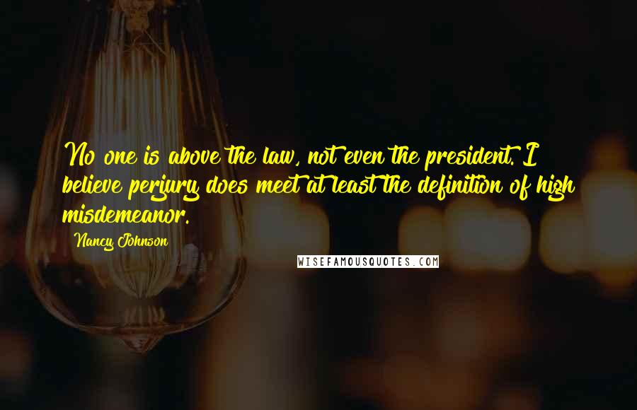 Nancy Johnson Quotes: No one is above the law, not even the president. I believe perjury does meet at least the definition of high misdemeanor.