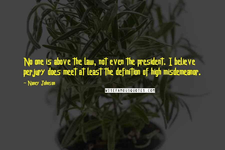 Nancy Johnson Quotes: No one is above the law, not even the president. I believe perjury does meet at least the definition of high misdemeanor.