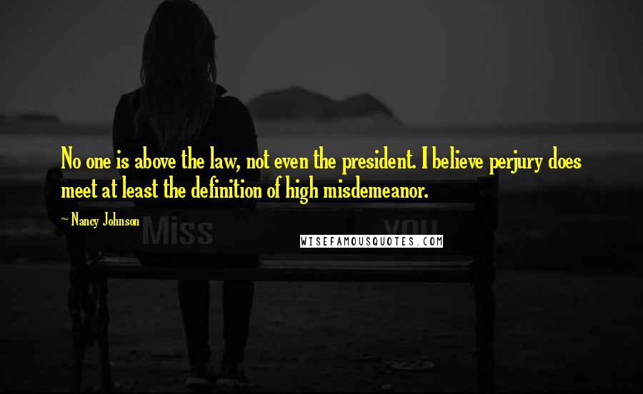 Nancy Johnson Quotes: No one is above the law, not even the president. I believe perjury does meet at least the definition of high misdemeanor.