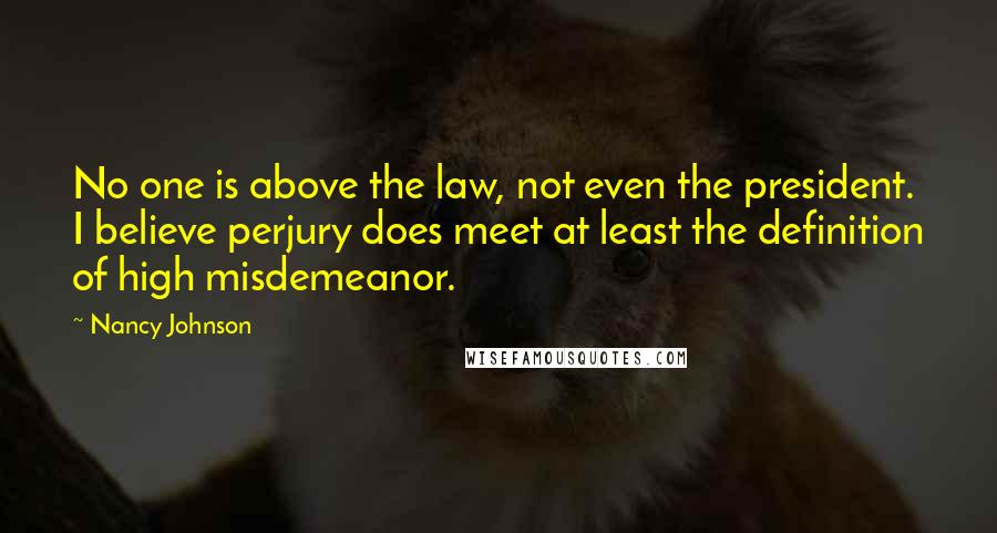 Nancy Johnson Quotes: No one is above the law, not even the president. I believe perjury does meet at least the definition of high misdemeanor.