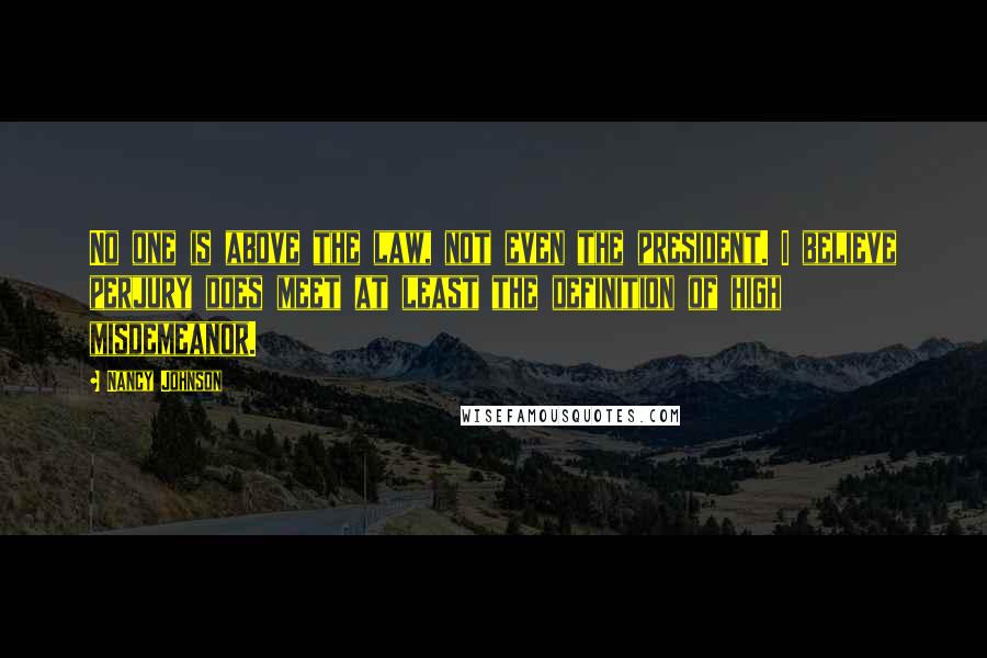 Nancy Johnson Quotes: No one is above the law, not even the president. I believe perjury does meet at least the definition of high misdemeanor.