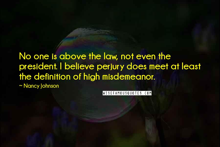 Nancy Johnson Quotes: No one is above the law, not even the president. I believe perjury does meet at least the definition of high misdemeanor.