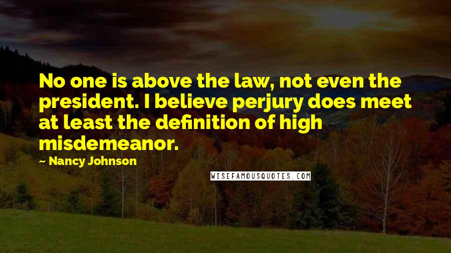 Nancy Johnson Quotes: No one is above the law, not even the president. I believe perjury does meet at least the definition of high misdemeanor.