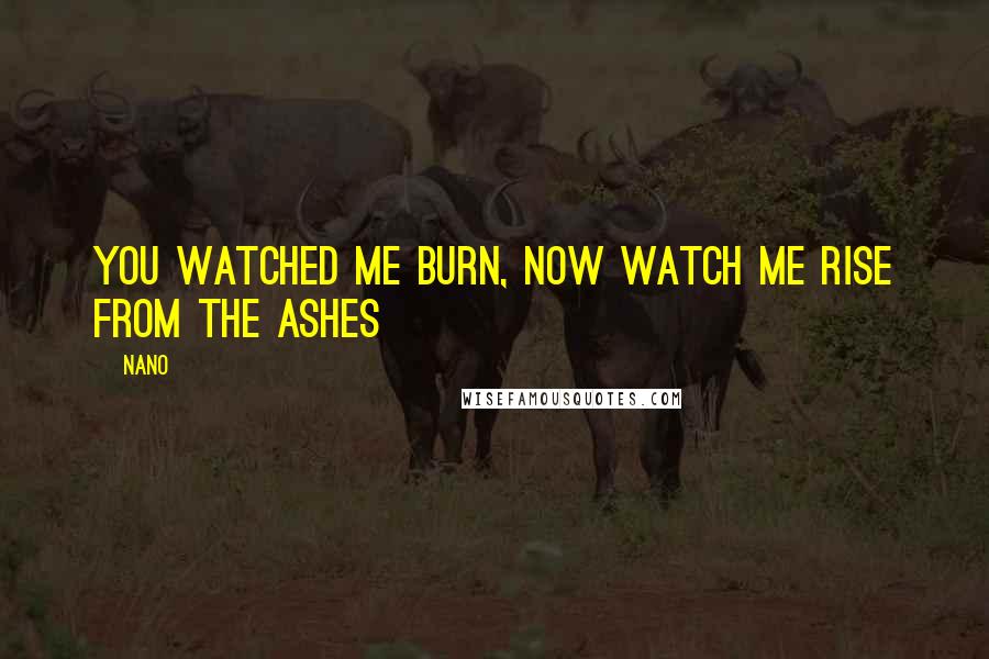 Nano Quotes: You watched me burn, now watch me rise from the ashes