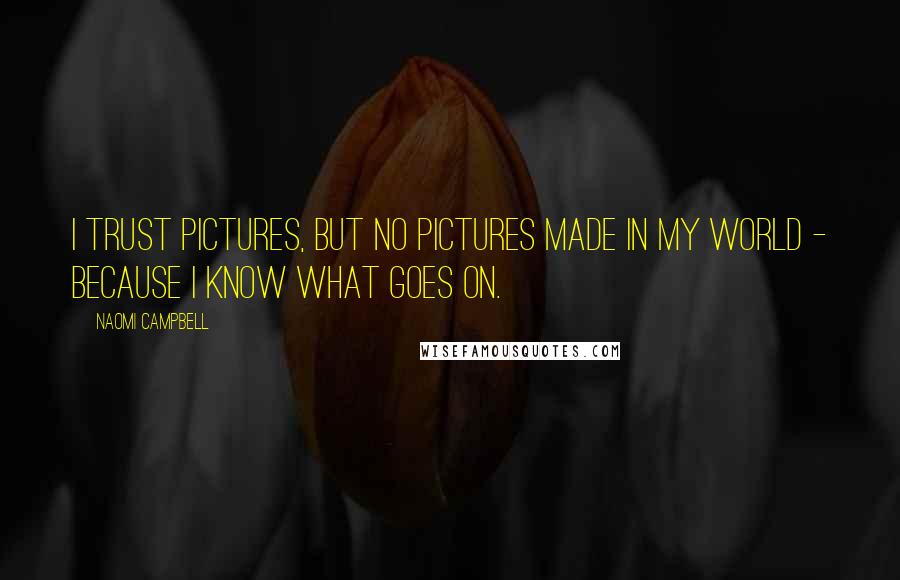 Naomi Campbell Quotes: I trust pictures, but no pictures made in my world - because I know what goes on.
