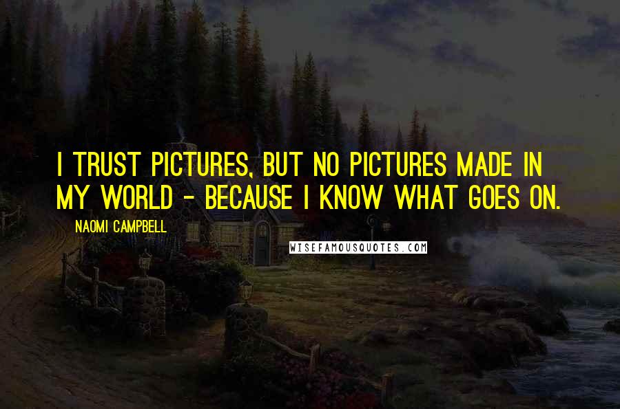 Naomi Campbell Quotes: I trust pictures, but no pictures made in my world - because I know what goes on.