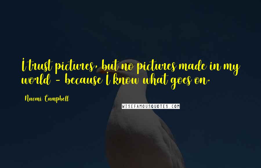 Naomi Campbell Quotes: I trust pictures, but no pictures made in my world - because I know what goes on.