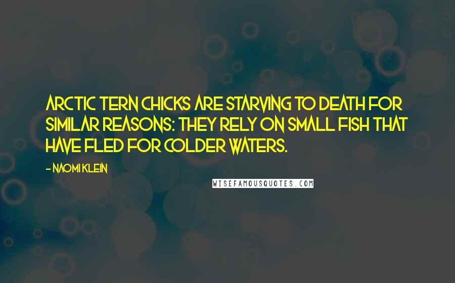 Naomi Klein Quotes: Arctic tern chicks are starving to death for similar reasons: they rely on small fish that have fled for colder waters.