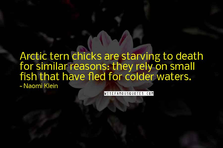 Naomi Klein Quotes: Arctic tern chicks are starving to death for similar reasons: they rely on small fish that have fled for colder waters.