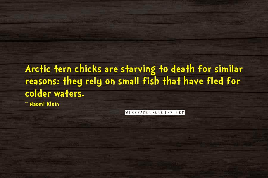 Naomi Klein Quotes: Arctic tern chicks are starving to death for similar reasons: they rely on small fish that have fled for colder waters.