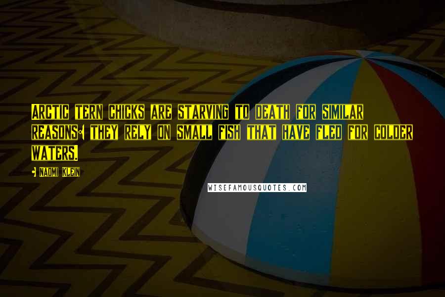 Naomi Klein Quotes: Arctic tern chicks are starving to death for similar reasons: they rely on small fish that have fled for colder waters.