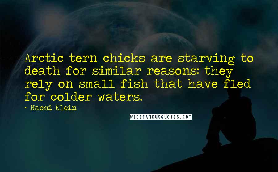 Naomi Klein Quotes: Arctic tern chicks are starving to death for similar reasons: they rely on small fish that have fled for colder waters.