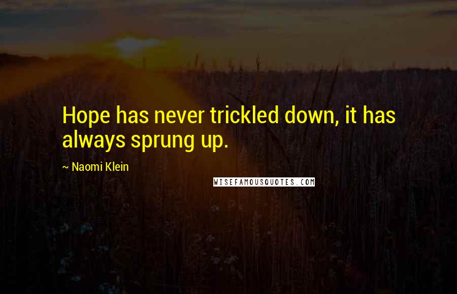 Naomi Klein Quotes: Hope has never trickled down, it has always sprung up.
