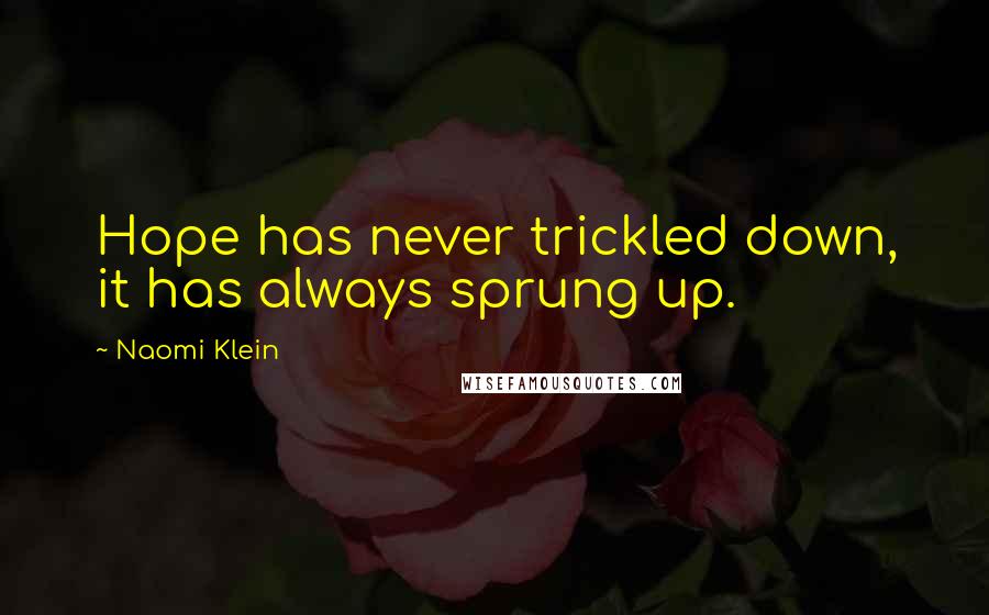Naomi Klein Quotes: Hope has never trickled down, it has always sprung up.