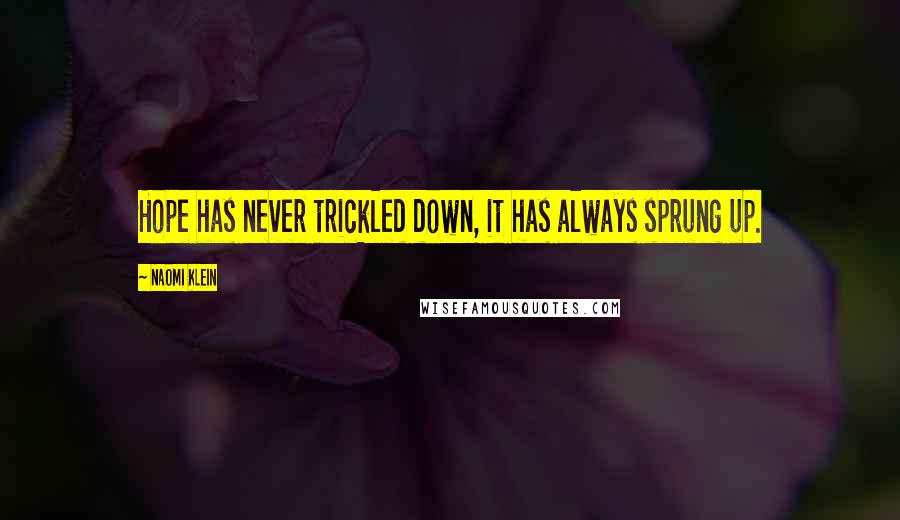 Naomi Klein Quotes: Hope has never trickled down, it has always sprung up.